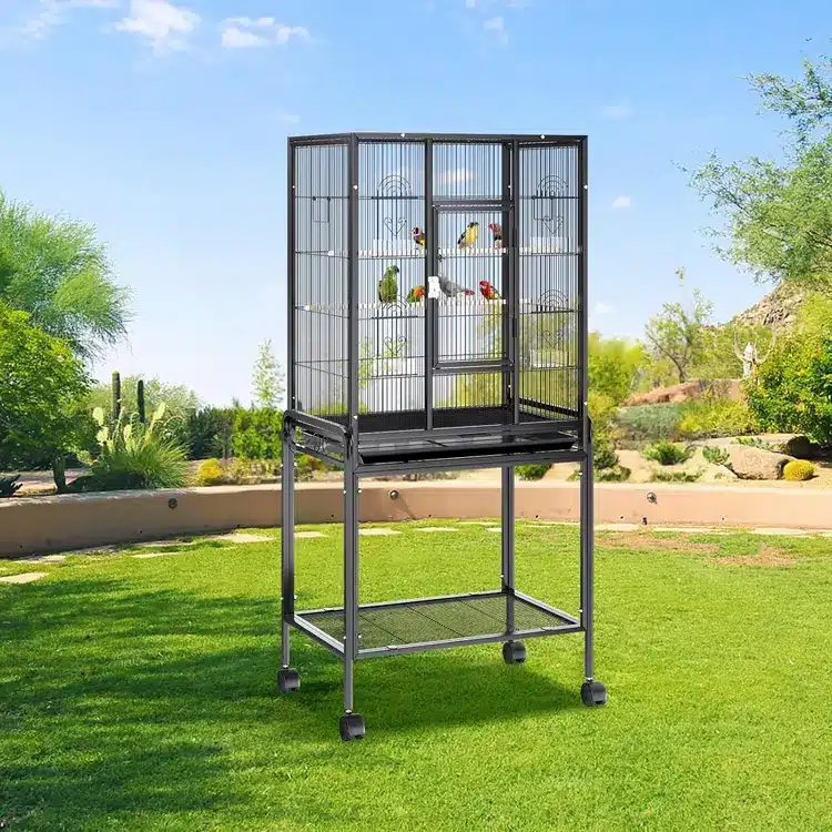 54 Inch Bird Cages