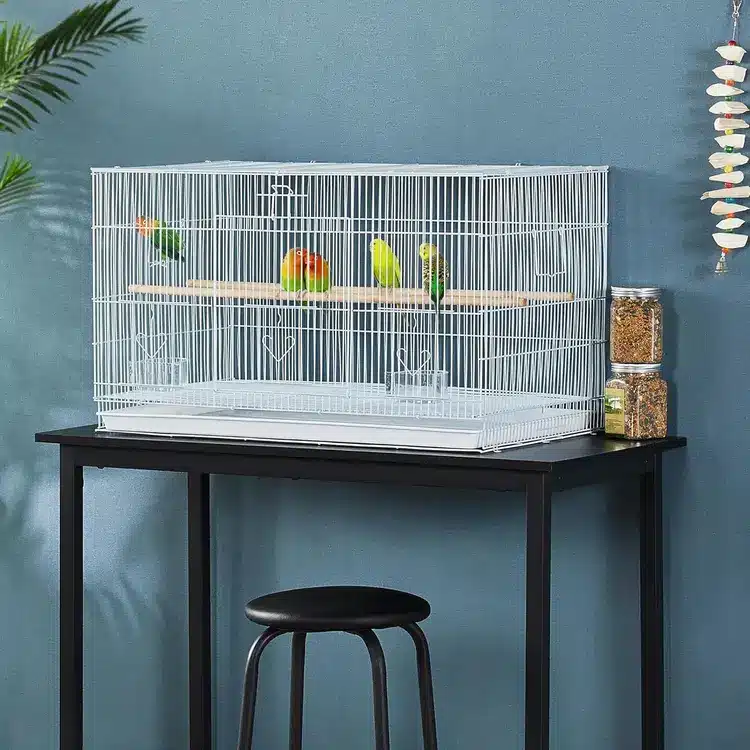 54 Inch Bird Cages