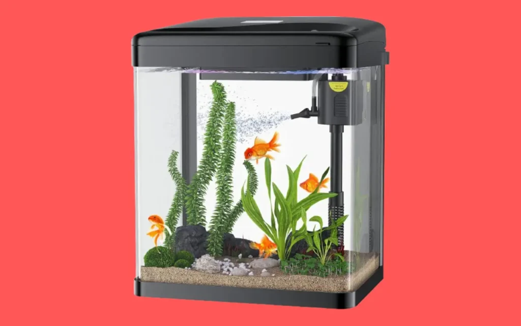 2 Gallon Glass Betta Fish Aquarium