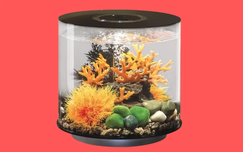 4 Gallon biOrb Tube 15 Acrylic Fish Aquarium