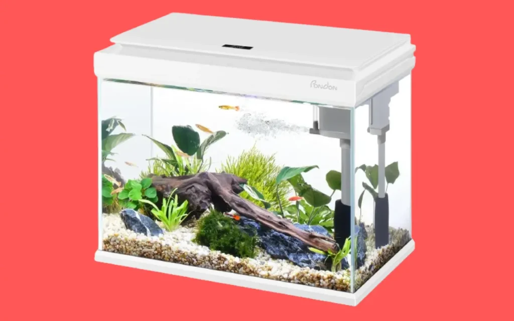 5 Gallon Low Iron Glass Fish Aquarium