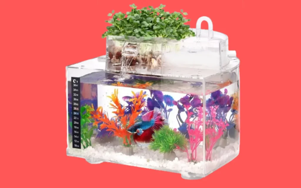 3 Gallon Betta Fish Aquarium