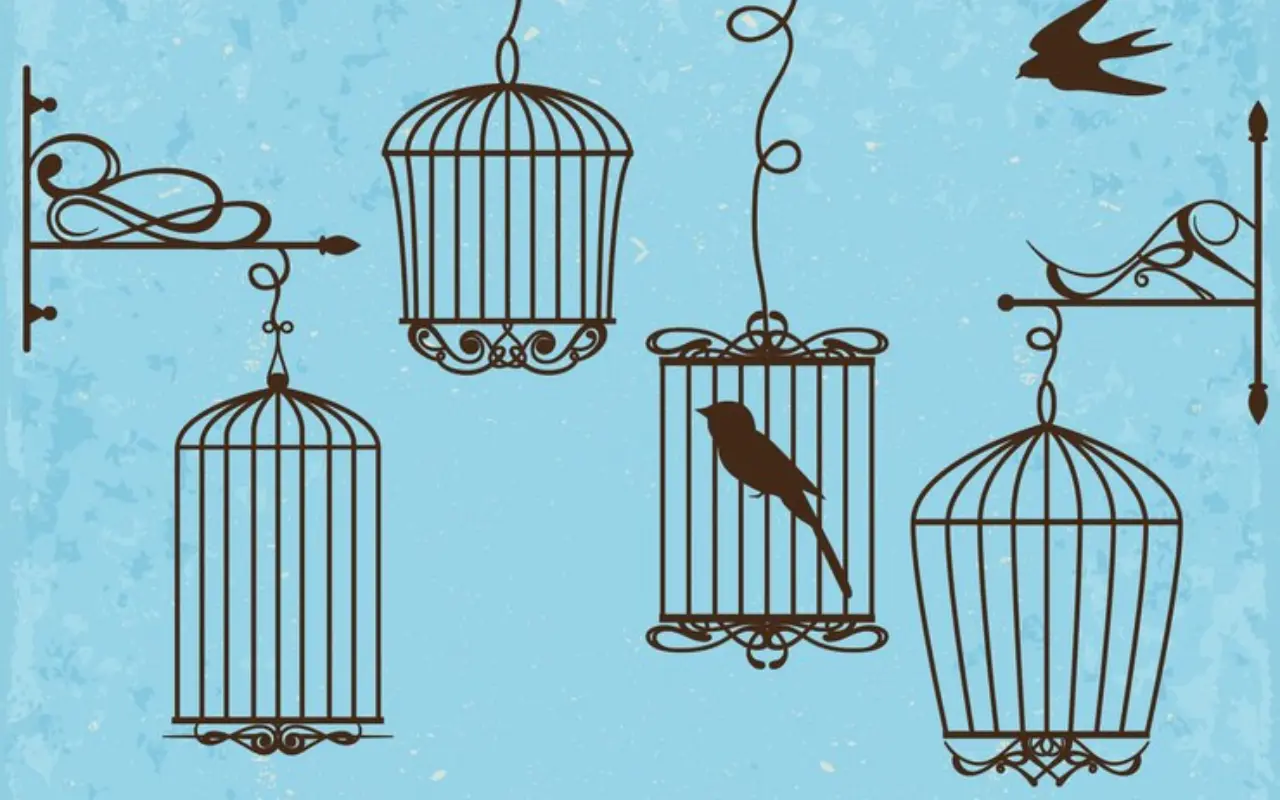 8 Best Bird Cages to Improve Your Bird's Lifestyle