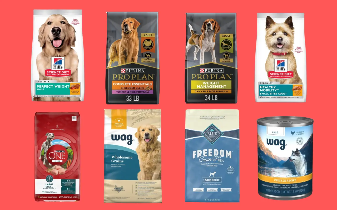 8 Best Dog Foods for Happy And Healthy Pets