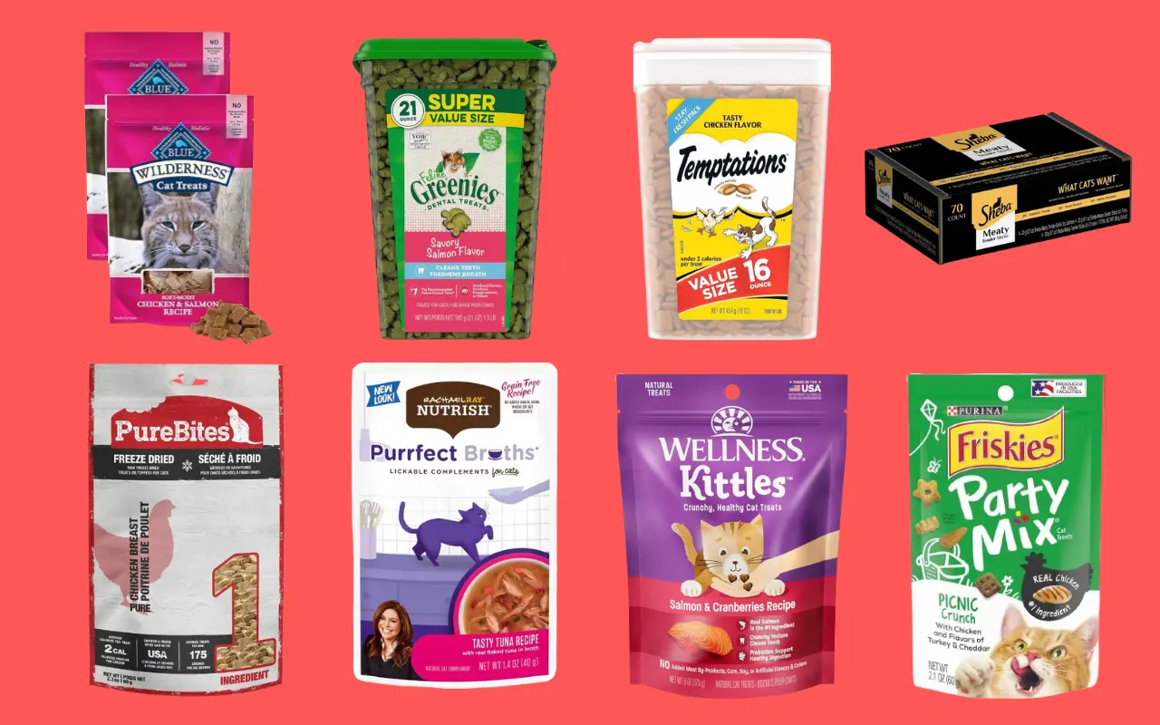 8 Best Cat Treats Your Feline Will Love!