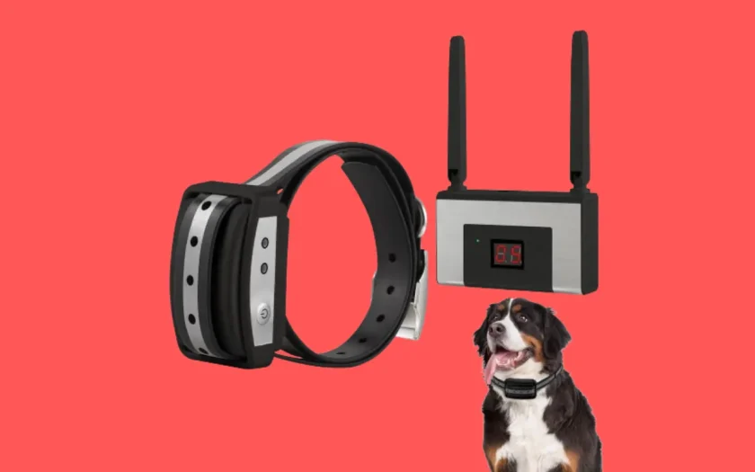 Focuser Electric Wireless Dog Fence System