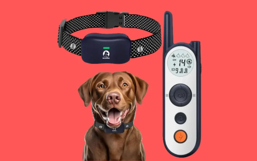 MIMOFPET 856-Acre Wireless Dog Fence