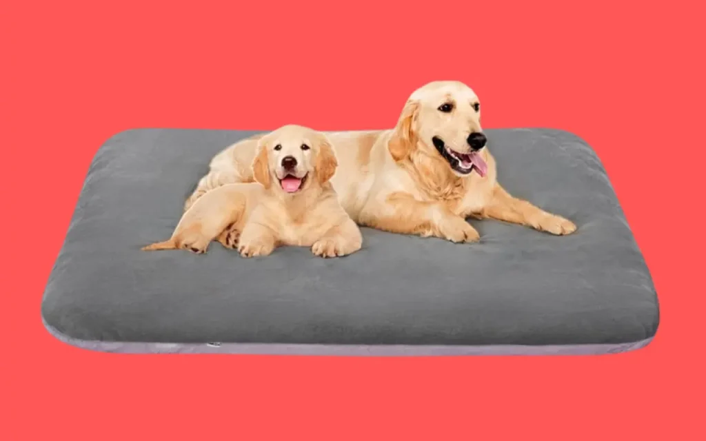Magic Dog Extra Large 47 Inches Jumbo Dog Beds