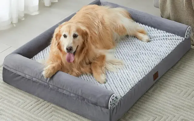 WNPETHOME Orthopedic Sofa Dog Beds With Mat Pillow