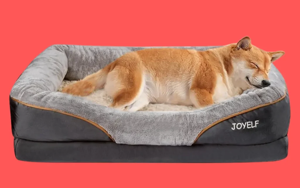 JOYELF Large Memory Foam Orthopedic Dog Beds & Sofa