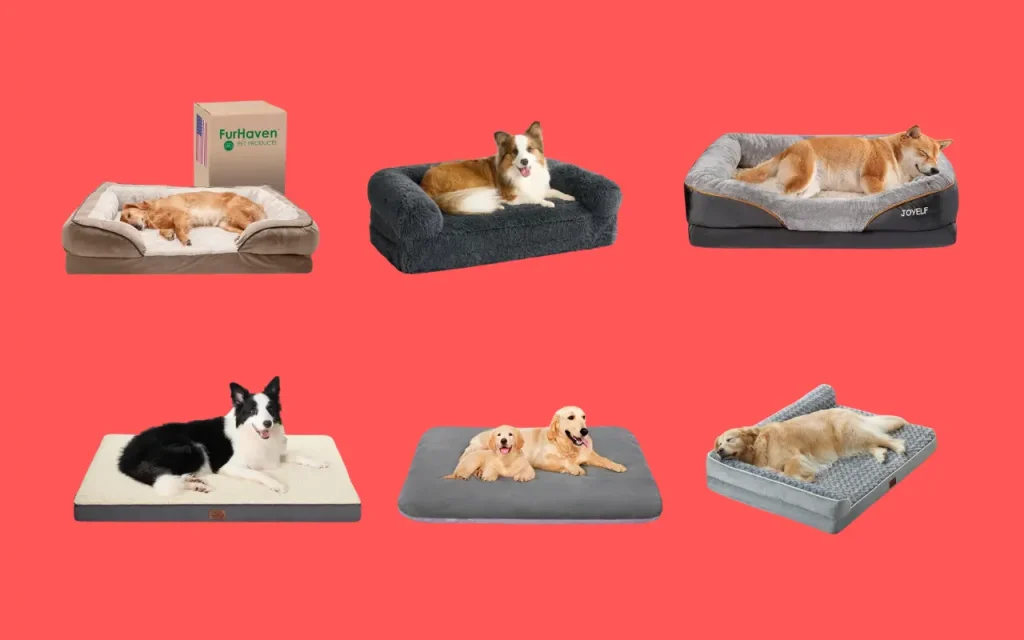 8 Best Dog Beds Which Every Pup Deserves!