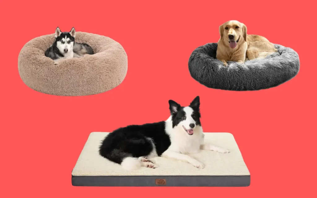 Types Of Best Dog Beds