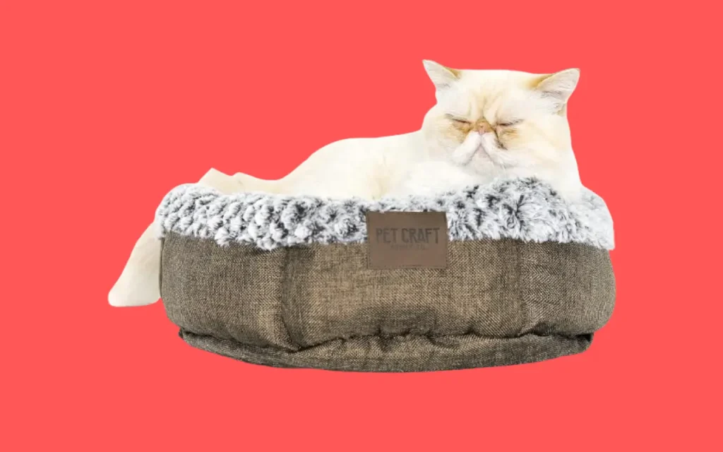 Cute Cat Beds Soho Round by Pet Craft Supply