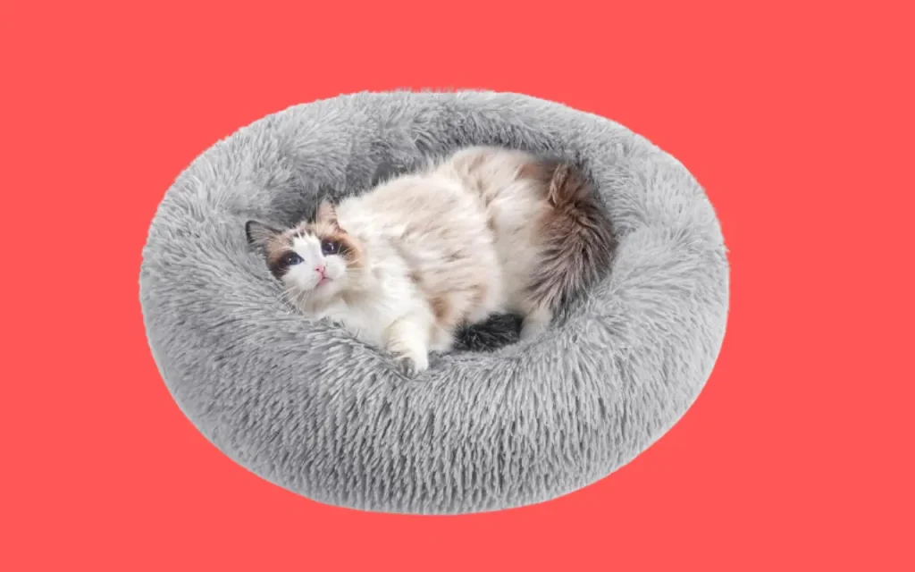 Rabbitgoo Cute Cat Beds 24 inches for Indoor Cats