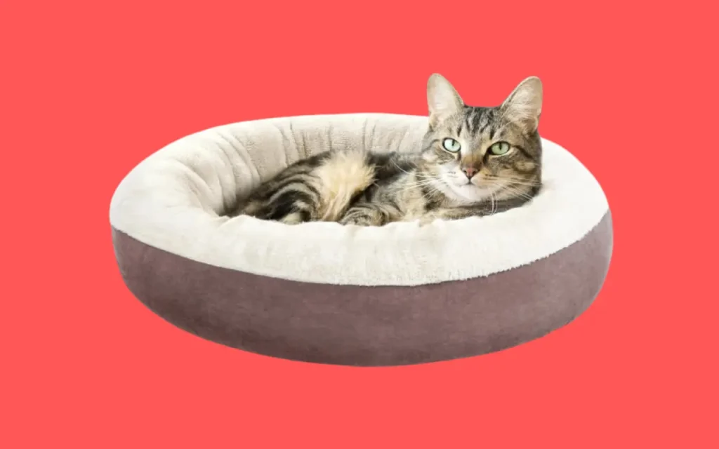 Love's Cabin Round Donut Cushion Cute Cat Beds