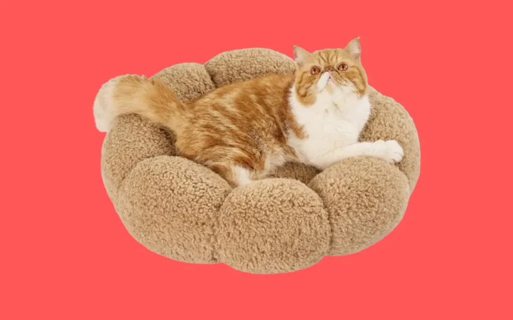 Lesure Calming Cute Cat Beds