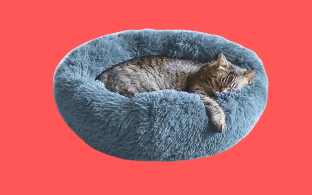 Whiskers & Friends Washable Cute Cat Beds