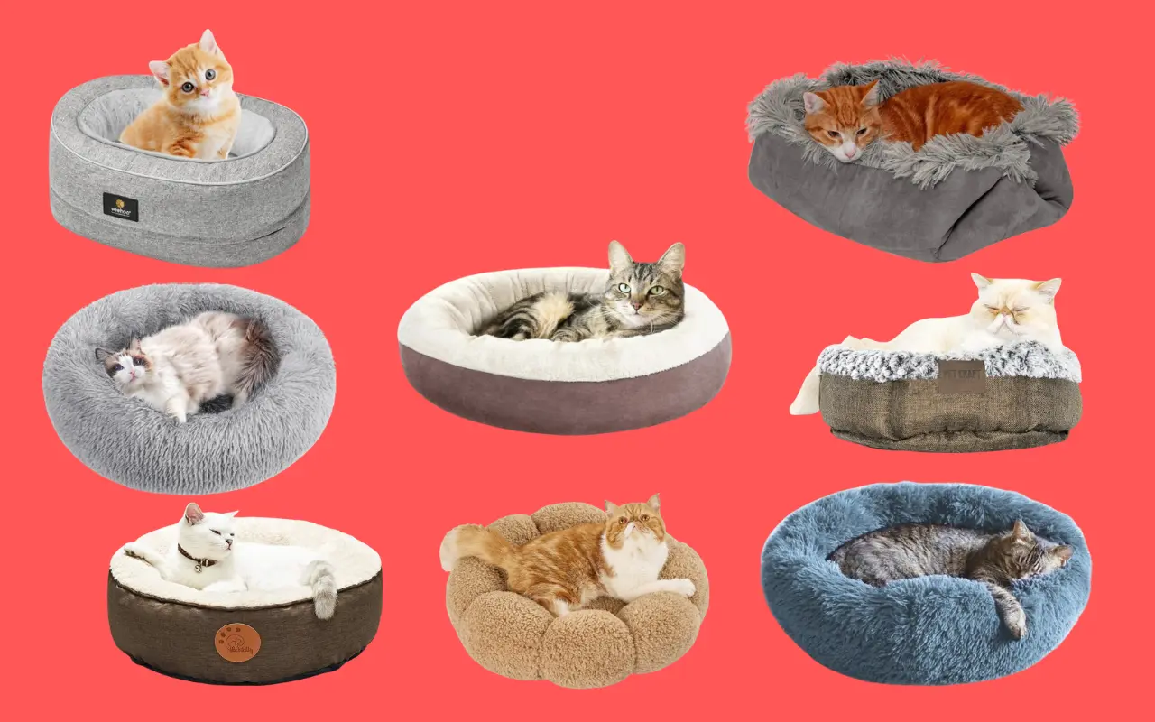 8 Best Cute Cat Beds for Your Feline Friend
