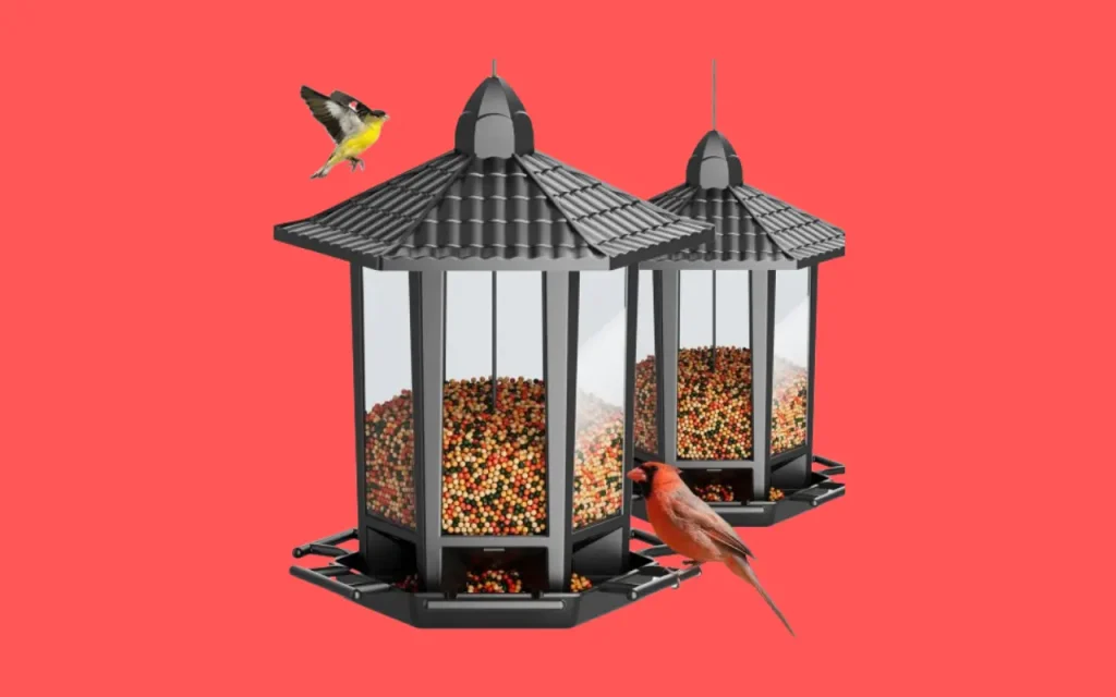 Bird Feeder for Outdoor Hanging