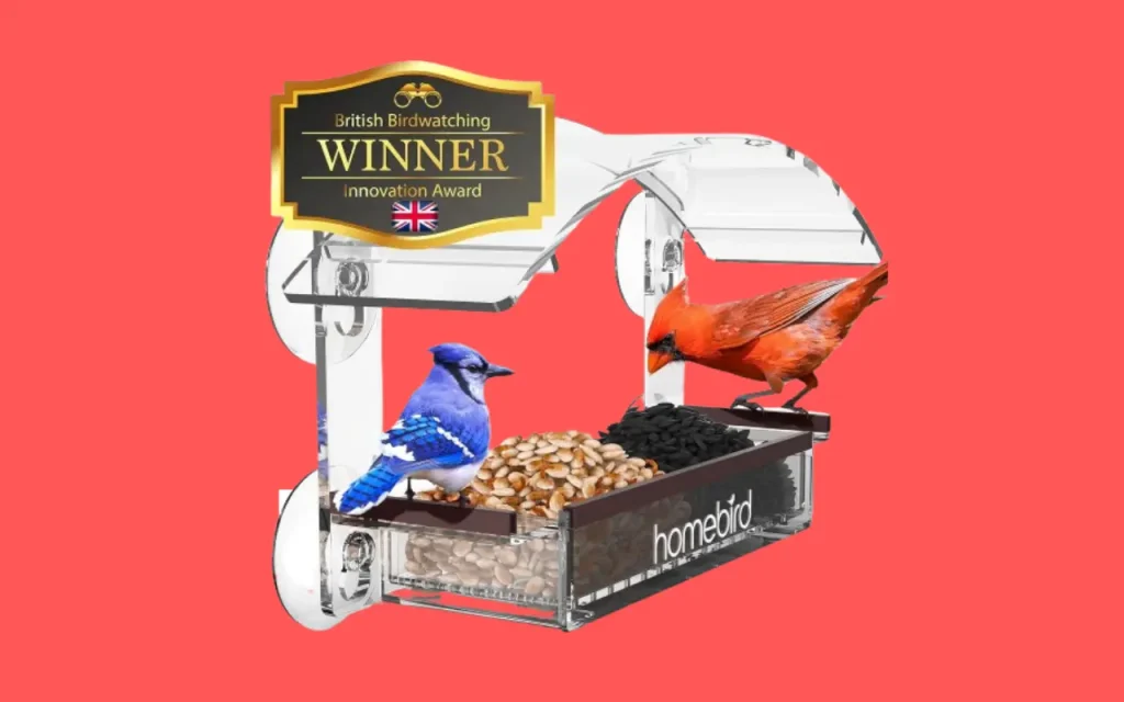 Window Bird Feeder with Strong Suction Cups