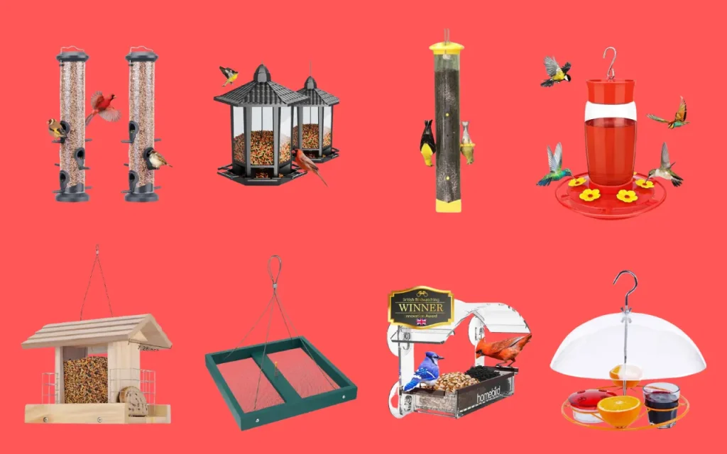 8 Best Bird Feeders of the Year for Every Budget