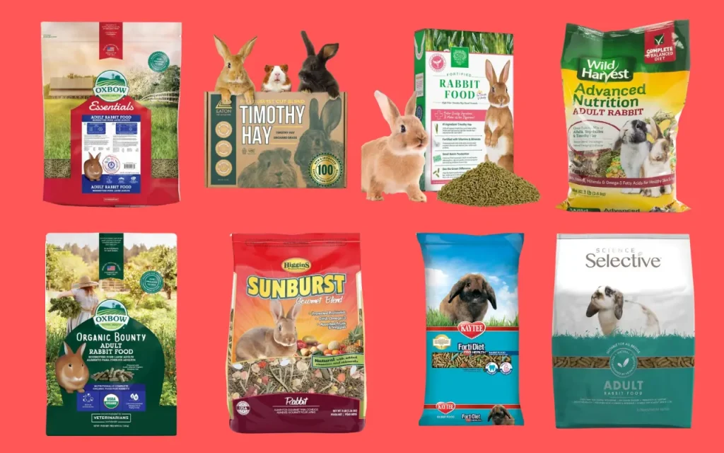 8 Best Rabbit Foods for a Thriving Bunny!