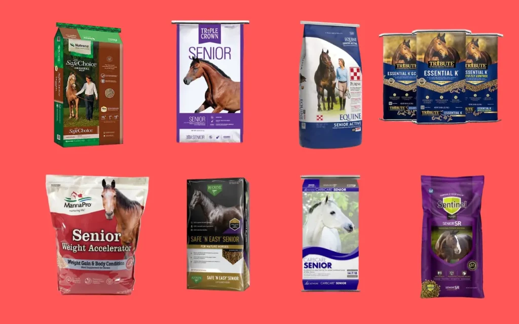 8 Best Horse Feeds for Peak Performance