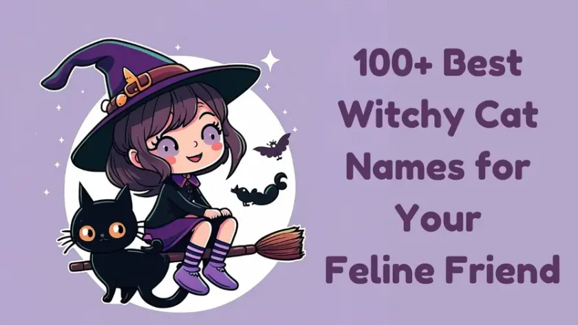 100+ Best Witchy Cat Names for Your Feline Friend