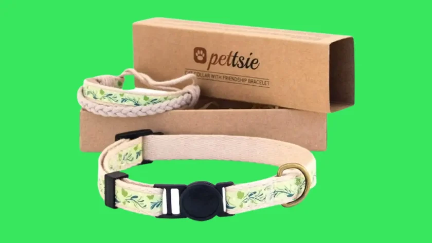 Pettsie Cat Collar with Friendship Bracelet