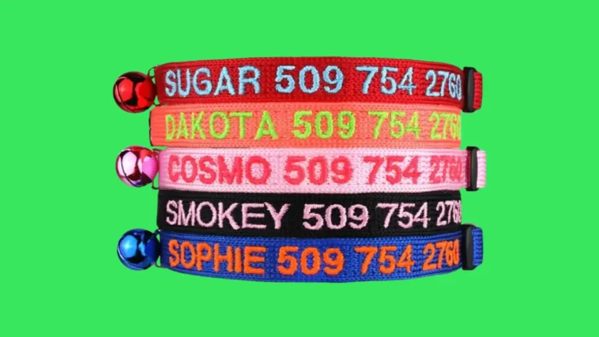 GoTags Personalized Cat Collar - Cute Cat Collars