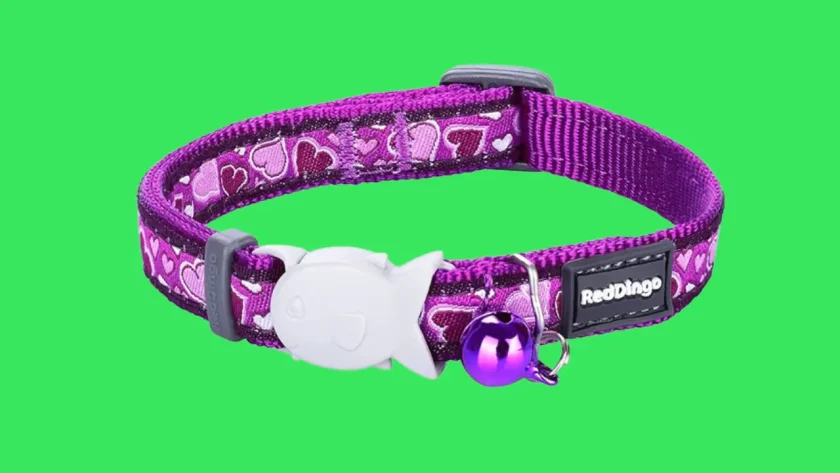 Red Dingo Designer Cat Collar